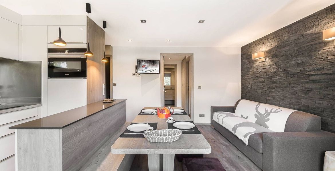 2 bedroom apartment with 50 sqm for rent in Méribel