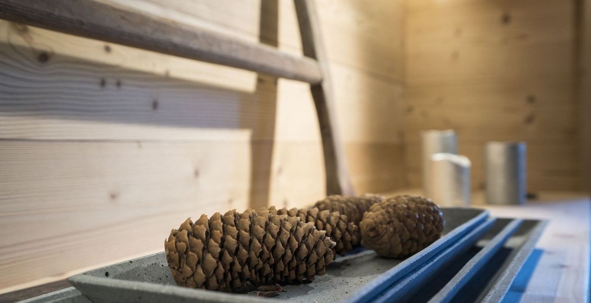 Luxury Chalet in Courchevel 1550 Village