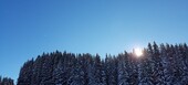 A lovely studio in the very center of Courchevel 1850 