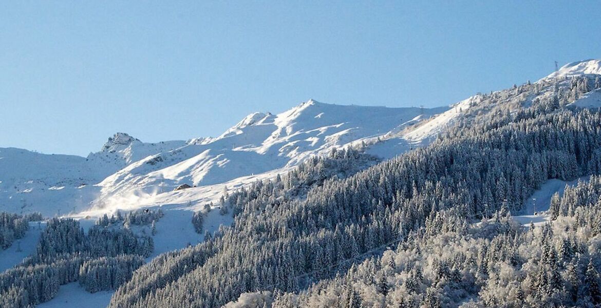 Chalet for rent in Meribel
