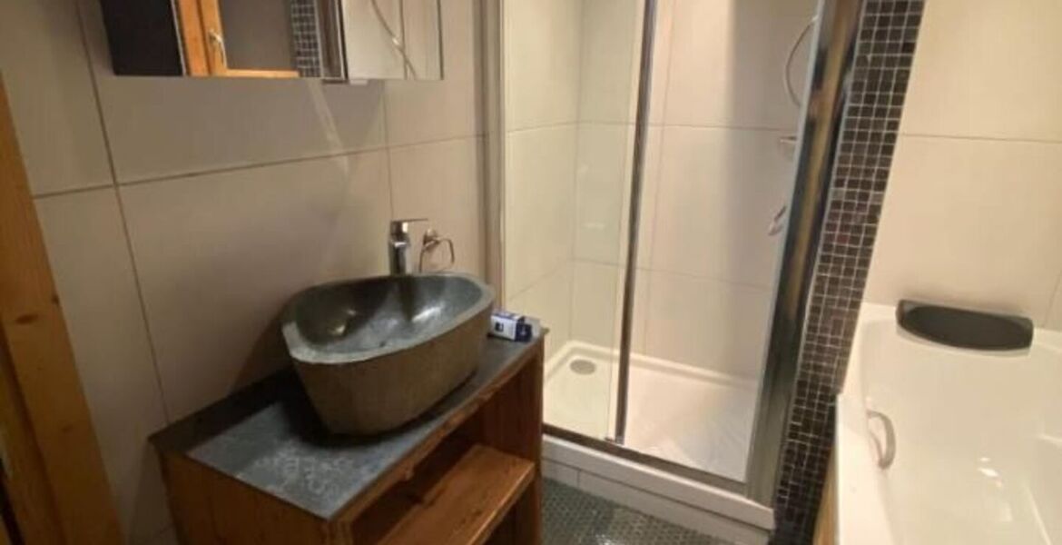 Chalet for rent in Meribel