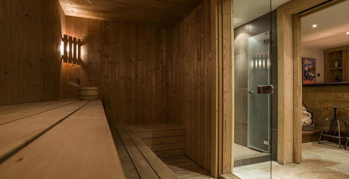 Ski-In/Ski-Out Chalet for Rent in Méribel