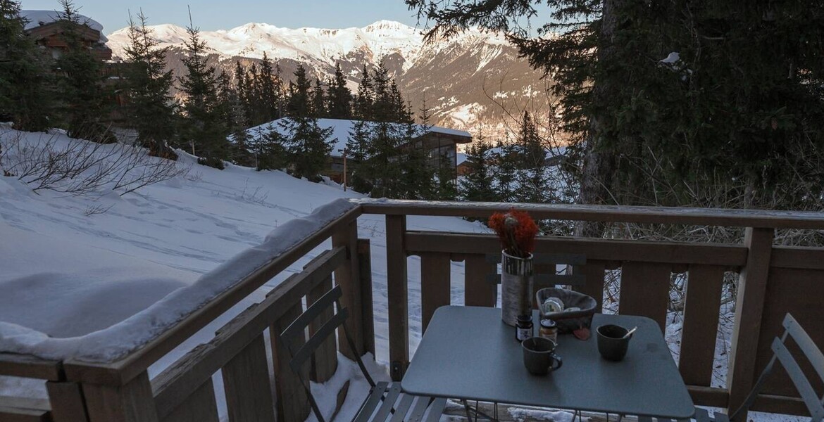 Rental apartment in Courchevel 1850