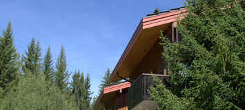 Skis at your feet - Courchevel Village - 8/10 - 3* apartment