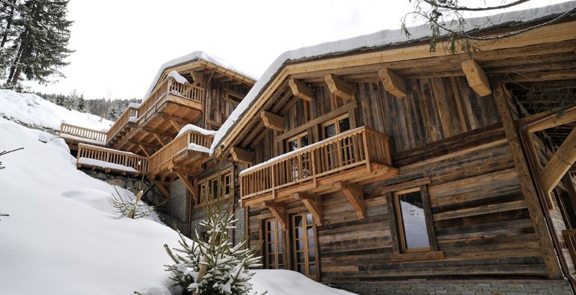 Chalet for rent in Meribel