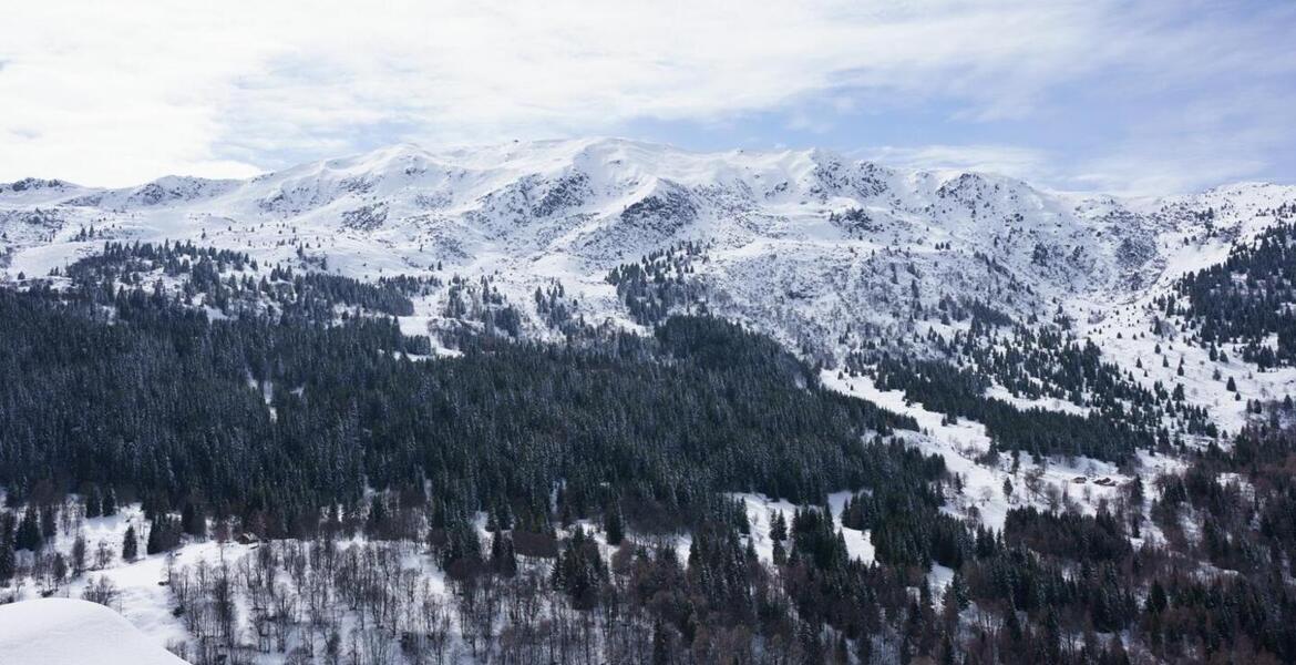 The duplex flat in Meribel