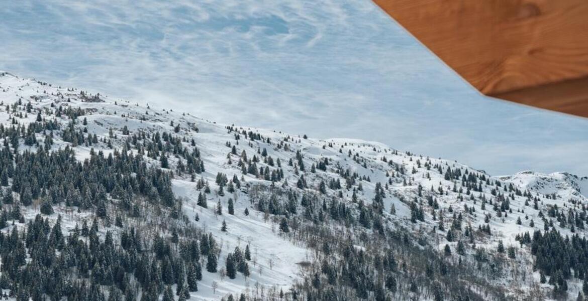 The duplex penthouse in Meribel