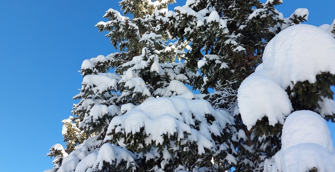 Luxury Chalet for 12 in La Tania 