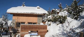 Chalet à louer à Méribel