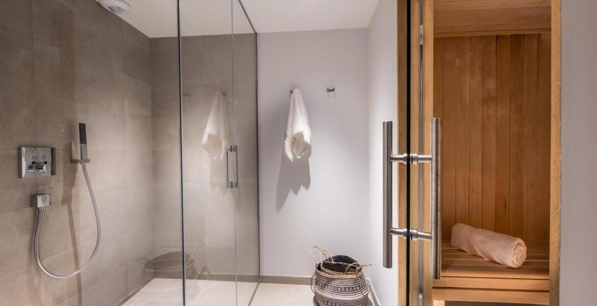 Penthouse for rent in Meribel