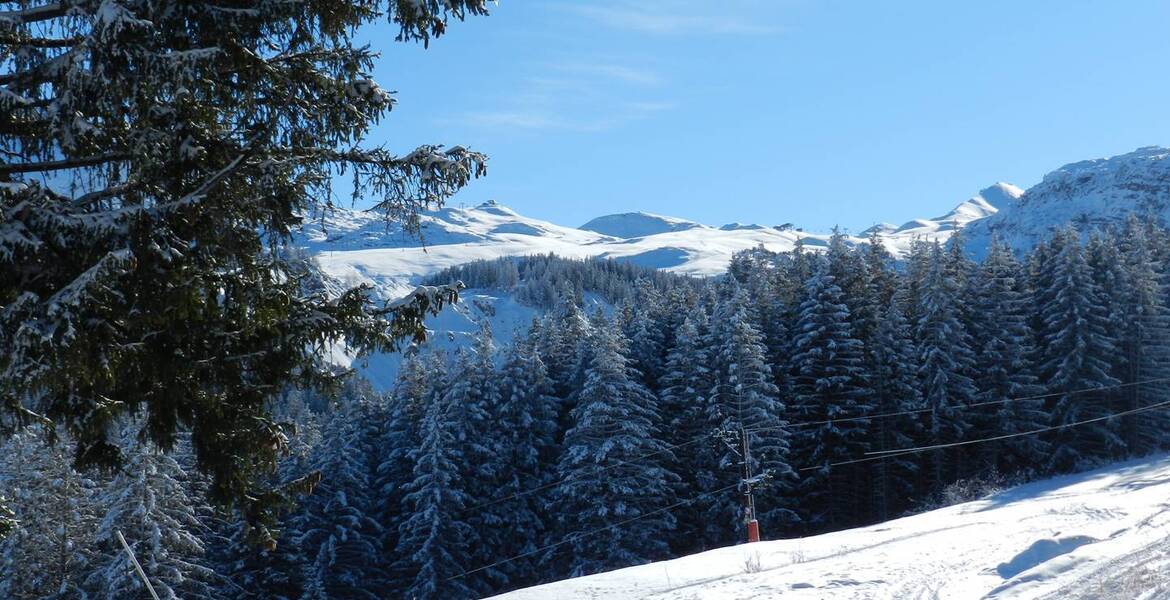 Appartement duplex à louer à Courchevel 1850 