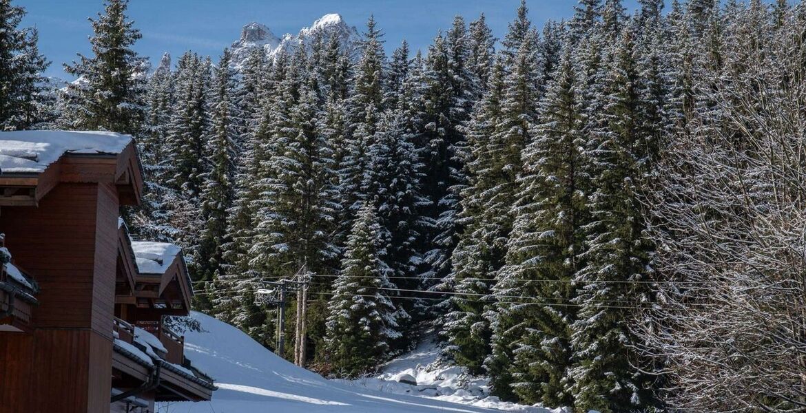 Ski-in/Ski-out Apartment in Courchevel 1850