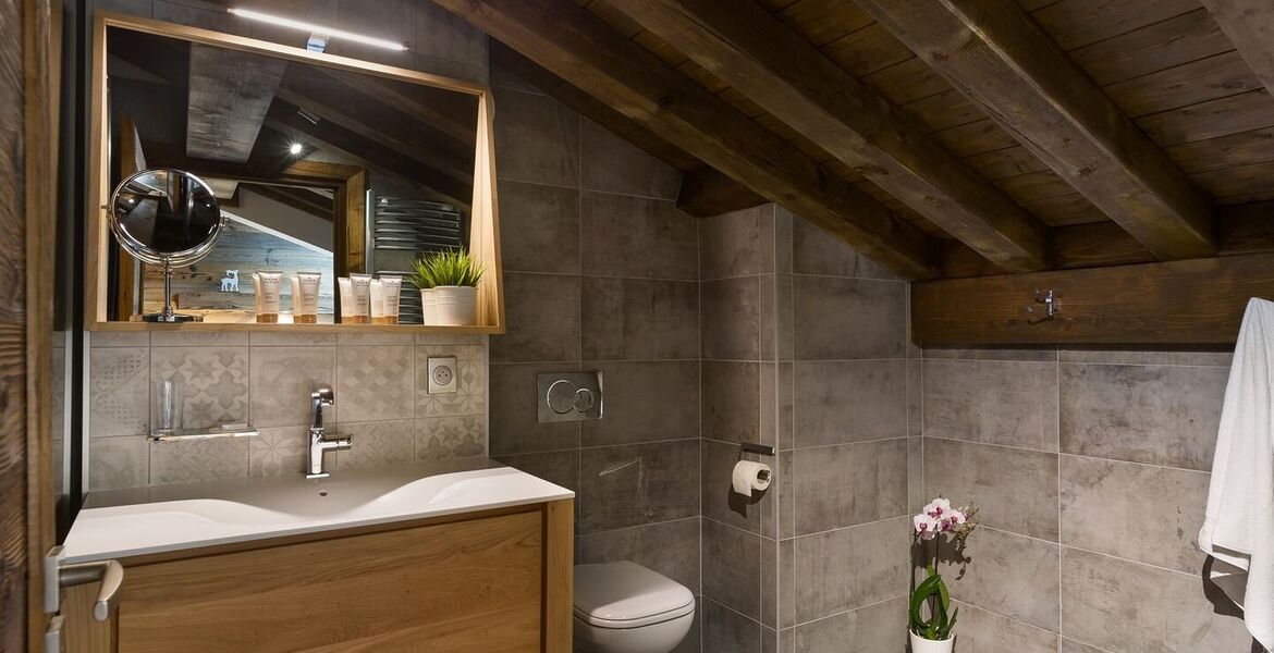 Penthouse for rent in Les Gets