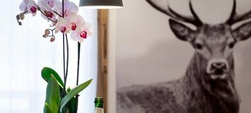 Apartment for rent in Les Gets