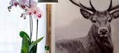 Apartment for rent in Les Gets