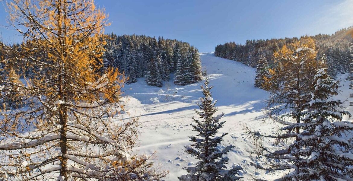 Apartment for rent in Courchevel Moriond