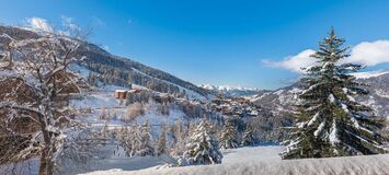 Аренда шале в Куршевеле 1650