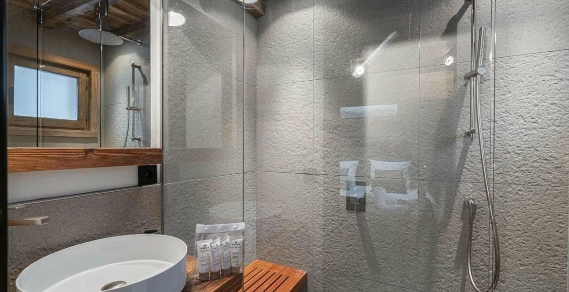Chalet for rent in Meribel