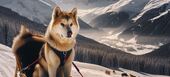 Dog Sledding Trip in Courchevel 1850