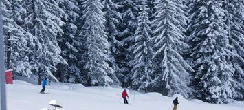 Snow Lodge Hotel